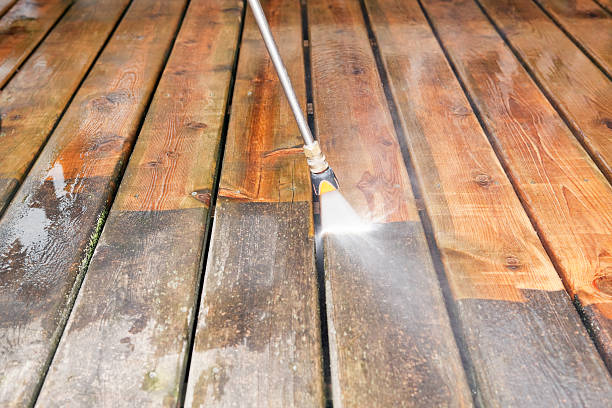 Best Gutter Cleaning  in Bellview, FL